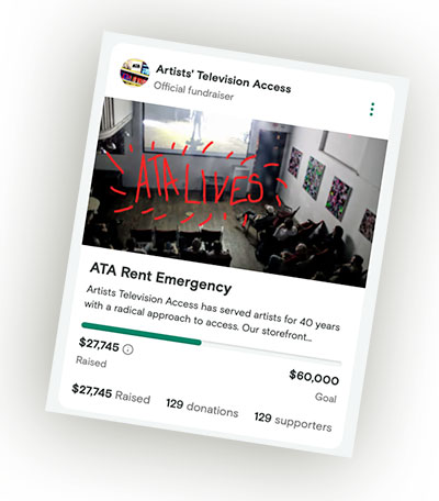 a screenshot of an online fundraiser progress